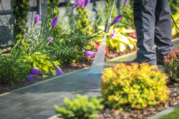 Best Parking Lot Cleaning in Tybee Island, GA